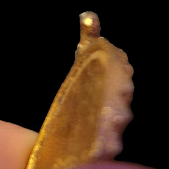 60's Vintage Houbigant Solid Perfume Compact with Chantilly Red Cabochon - Picture 10 of 12